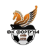 ФК Фортуна 13'