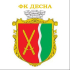 ФК Десна 17'