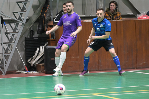 Magic Consulting - ADVOCATES F&P